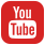 yt